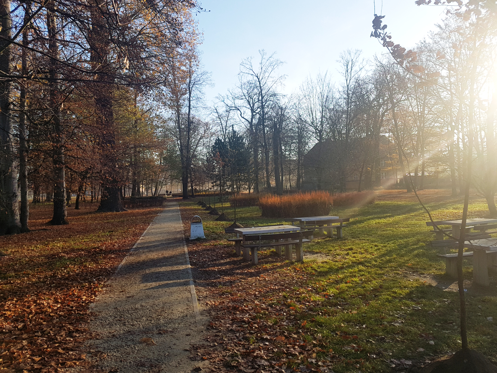 park park